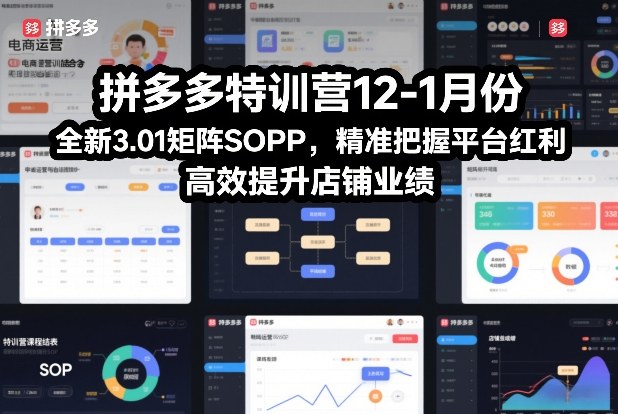 拼多多特训营12-1月份,全新3.01矩阵Sop,精准把握平台红利,高效提升店铺业绩-小目标云网创