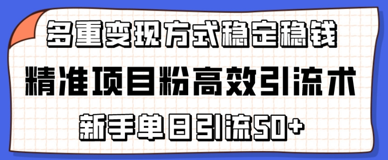 精准项目粉高效引流术,新手单日引流50+,多重变现方式稳定赚钱-小目标云网创