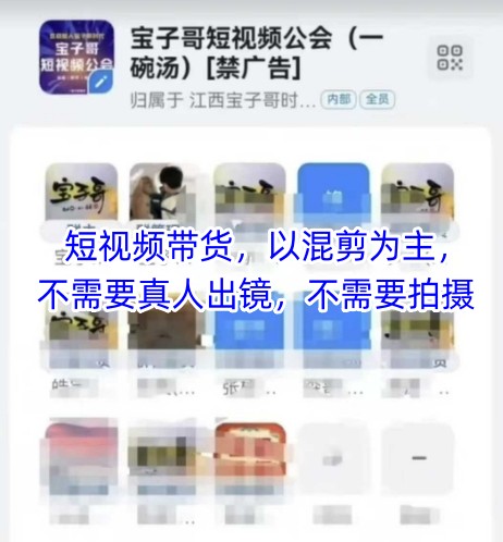 宝子哥头部团队短视频带货,以混剪为主,不需要真人出镜,不需要拍摄【更新12月】-小目标云网创