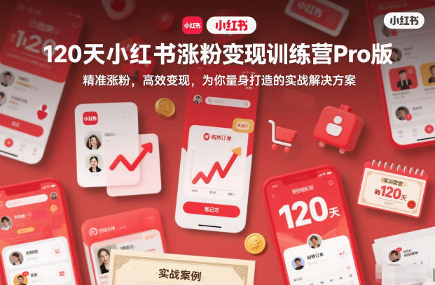 120天小红书涨粉变现训练营Pro版，精准涨粉，高效变现，为你量身打造的实战解决方案-小目标云网创
